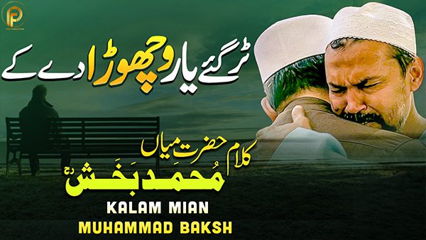 Mian Sab Tur Gaye Yaar Lyrics In Urdu